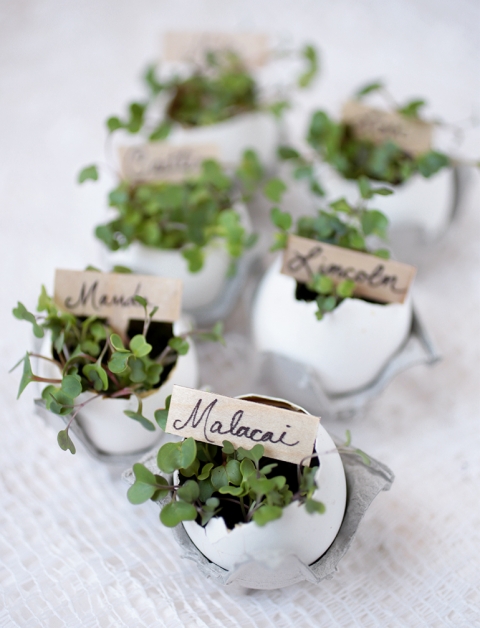 DIY Eggshell Place Card Holders - The Merrythought