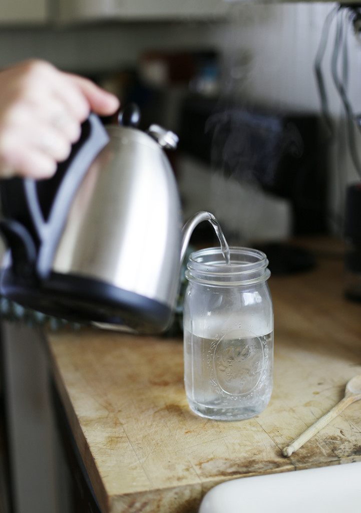 How to Preserve Eucalyptus Simple Way to Preserve Eucalyptus