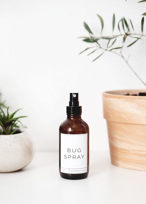 bottle of homemade bug spray sitting next to plants