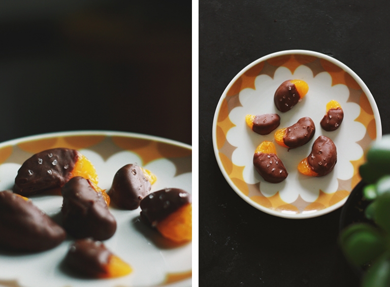 Chocolate & Sea Salt Mandarin Oranges | The Merrythought