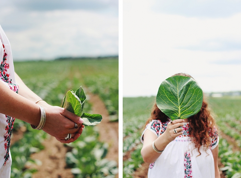 Cabbage Field Photoshoot | The Merrythought