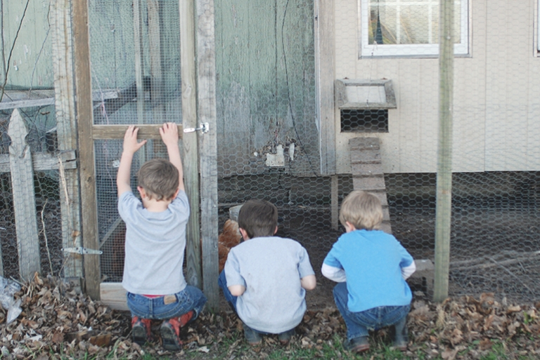 Merry Moments  @themerrythought