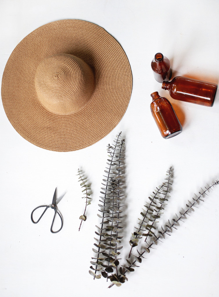 How to Preserve Eucalyptus Simple Way to Preserve Eucalyptus