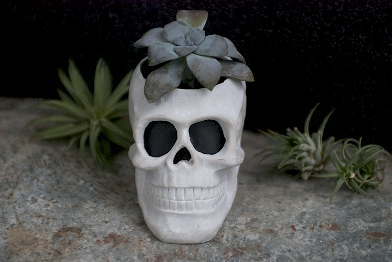 DIY Skull Planter - The Merrythought
