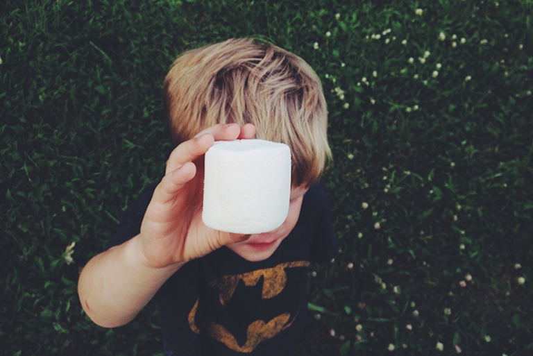 Summer Nights @themerrythought