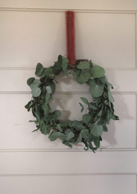 fresh eucalyptus wreath with rusty red velvet ribbon hanging on suntan door