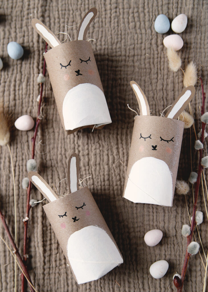 Diy toilet paper roll discount