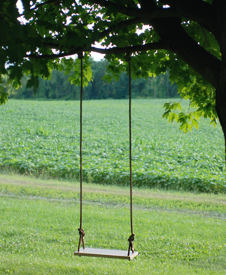 swing from a tree