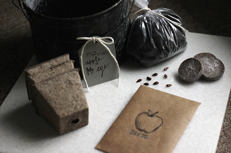 You're the Apple of My Eye Valentine @themerrythought