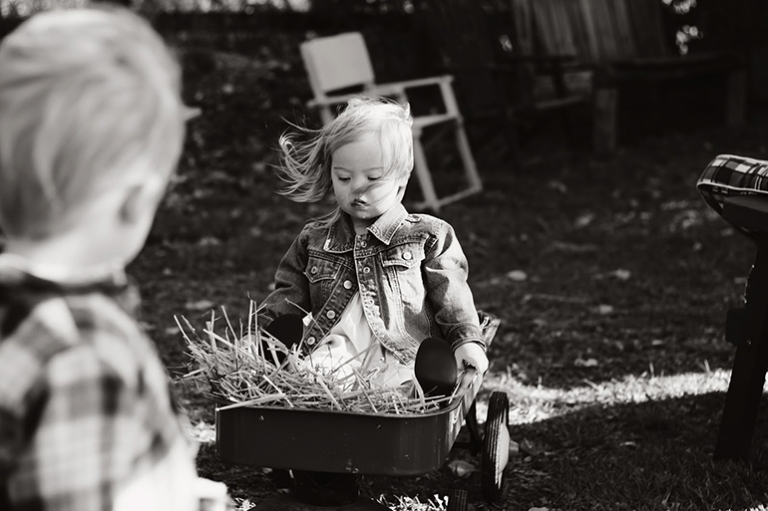 Horse Party | The Merrythought